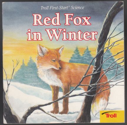 Red Fox in Winter.